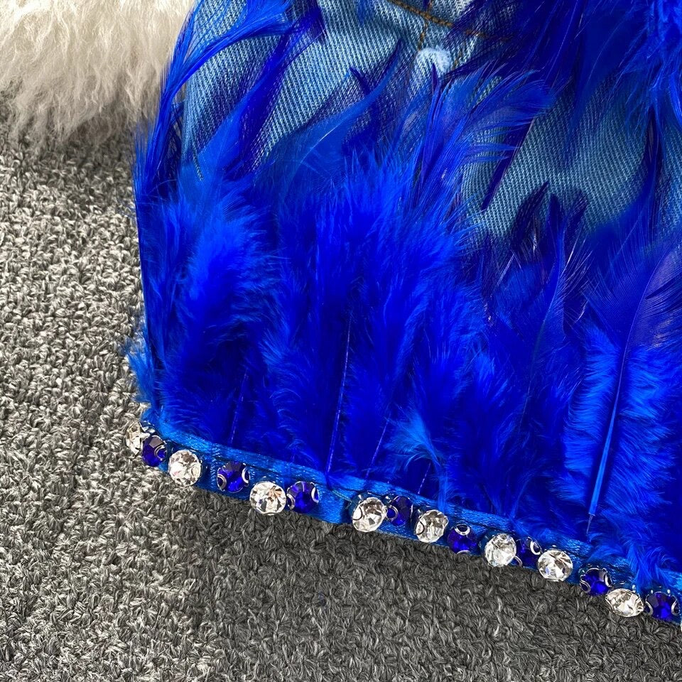 Blue Bird Corset Top