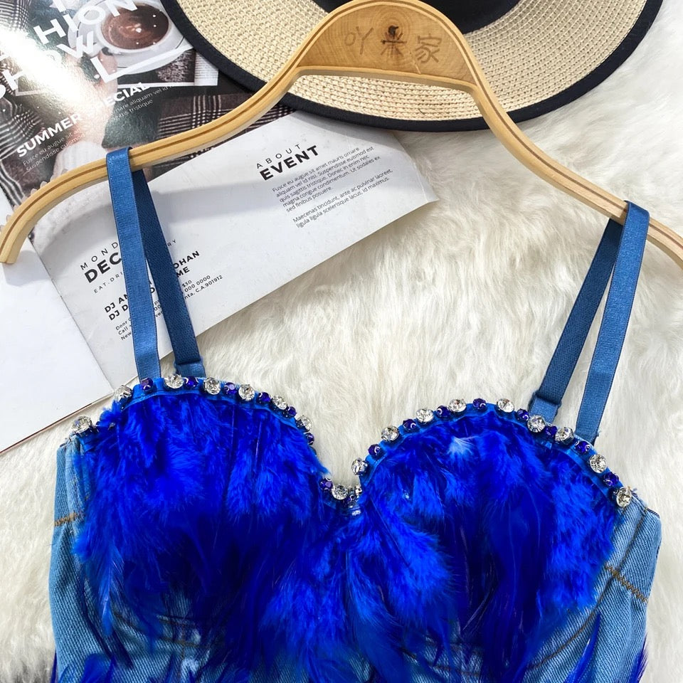 Blue Bird Corset Top